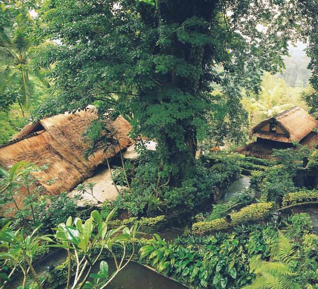 Немецкий художник Вальтер Шпис переехал на Бали в 1927 году. Здесь он построил фантастический дом в прохладном климате Убуда. Вместе со своими питомцами – какаду и обезьяной – он глубоко погрузился в культуру этого загадочного острова.
