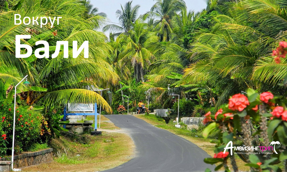 Вокруг Бали