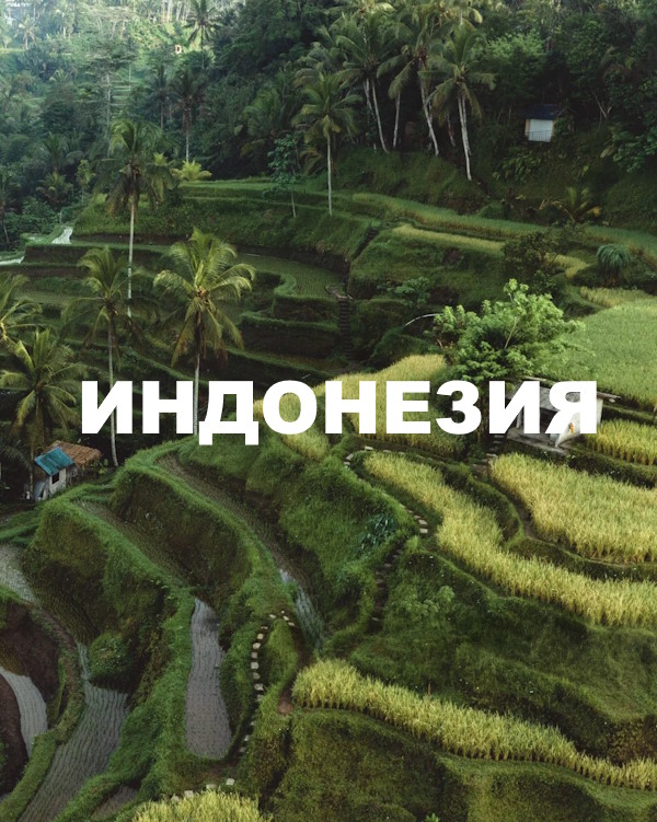 Авторский тур в Индонезию